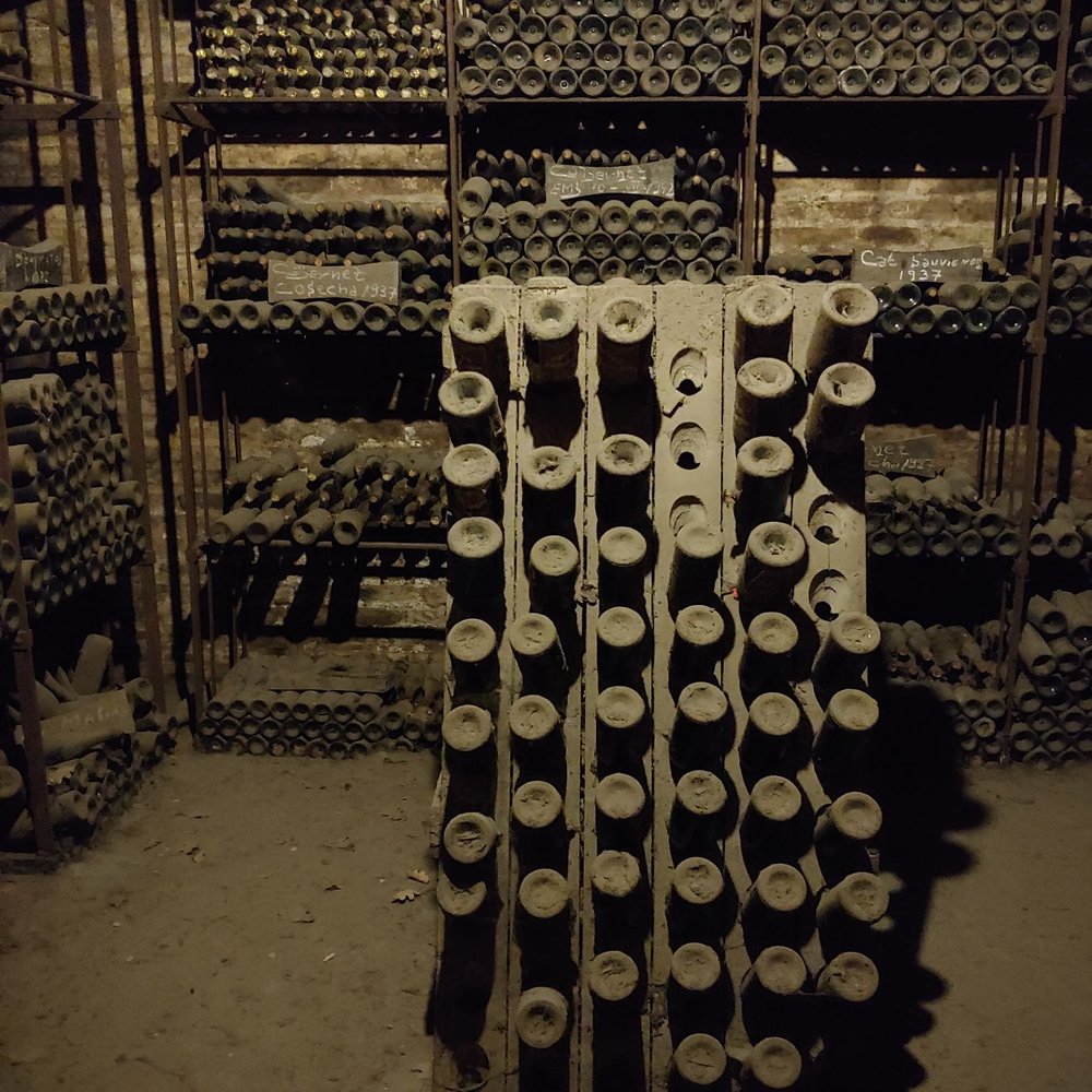Viña Cousiño Macul - Wineries Near Me - Santiago, RM