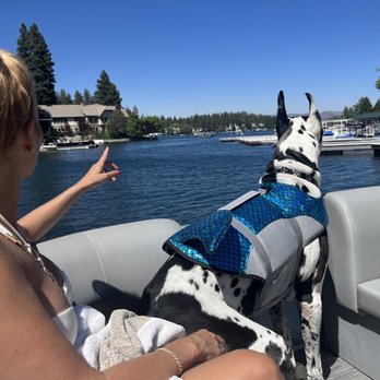 Action WaterSports Arizona - Gatsby trying out the new seats. Fits just right. - Boat Dealers Near Me - Mesa, Arizona Action WaterSports Arizona - Gatsby trying out the new seats. Fits just right. - Boat Dealers Near Me - Mesa, Arizona