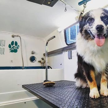 Dana's Darling Dogs - With a self contained mobile unit. Dana's Darling Dogs is fully equipped to bring the pet spa to you! - Pet Groomers Near Me