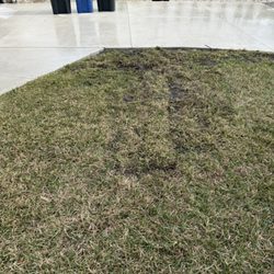 Daytona Irrigation - All cleaned up!!!