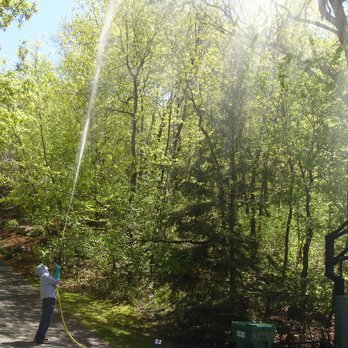 Legacy Treecare - Tree Care Services in Osseso, MN - Tree Services Near Me