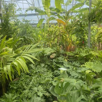 Leonardi's Nursery Landscaping & Irrigation - It's a beautiful jungle - Nurseries & Gardening Near Me - Saint Augustine, Florida