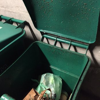 Avenue 64 - The green bins haven't been serviced in months so I have to deal with maggots and gnats everytime I take out the compost. - Apartments Near Me - Emeryville, California