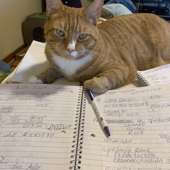 VEG ER for Pets - Buddy 2 weeks later helping me with the bills. - Emergency Pet Hospital Near Me - Paramus, New Jersey VEG ER for Pets - Buddy 2 weeks later helping me with the bills. - Emergency Pet Hospital Near Me - Paramus, New Jersey