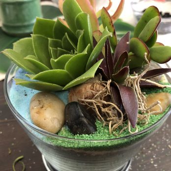 Maker's Loft Boutique - My plant from the workshop I attended, so cute - Gift Shops Near Me - Oakland, California Maker's Loft Boutique - My plant from the workshop I attended, so cute - Gift Shops Near Me - Oakland, California