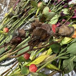 Edible Arrangements - Decaying