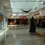 Photo of Coles