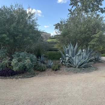 McGovern Centennial Gardens - Parks Near Me - Houston, Texas McGovern Centennial Gardens - Parks Near Me - Houston, Texas