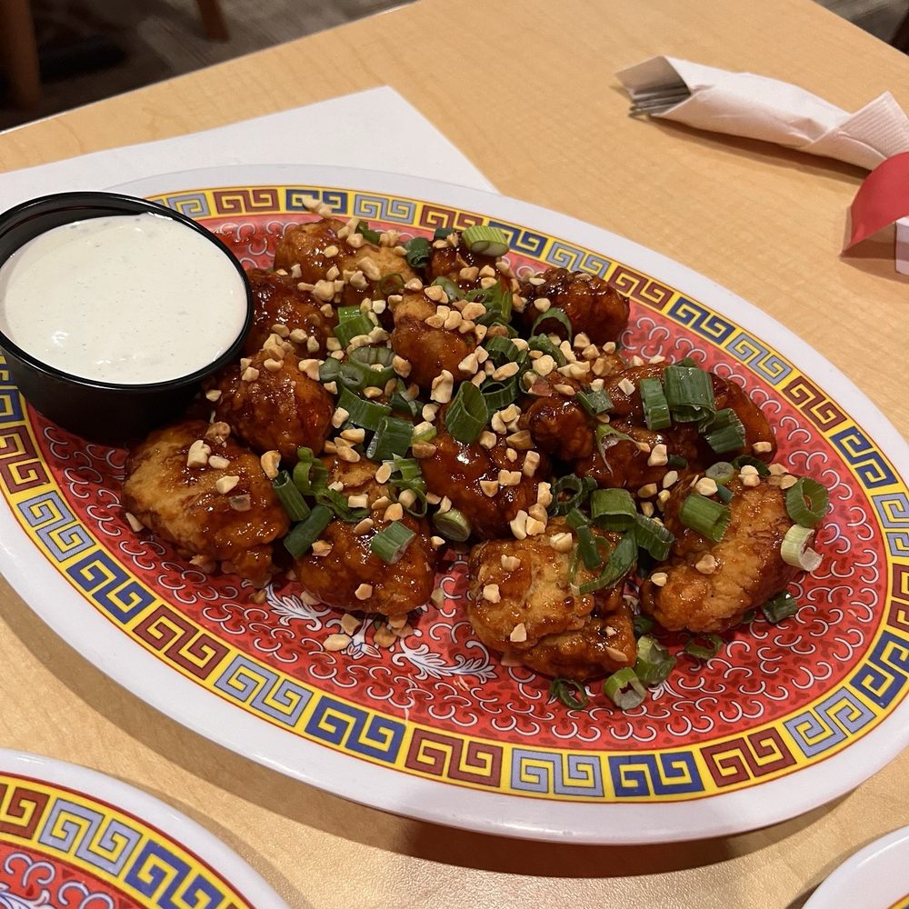 Dragon Wings Dragon Wings