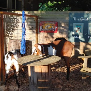 The Goat Place - Attraction Farms Near Me - Portland, Oregon