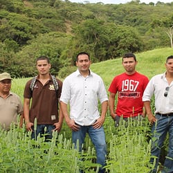 Mayorga Coffee