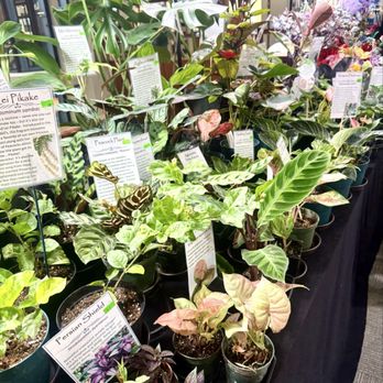 Happy Koi Nursery - Plants - Nurseries & Gardening Near Me - Aiea, Hawaii