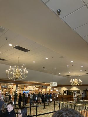 Shady Maple Smorgasbord by null