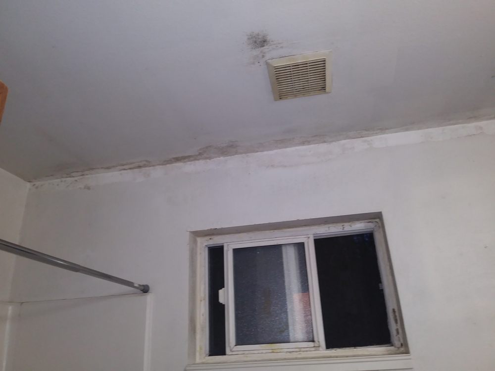 CREEKSIDE VILLAGE APARTMENTS Updated July 2024 1953 Spruce Dr