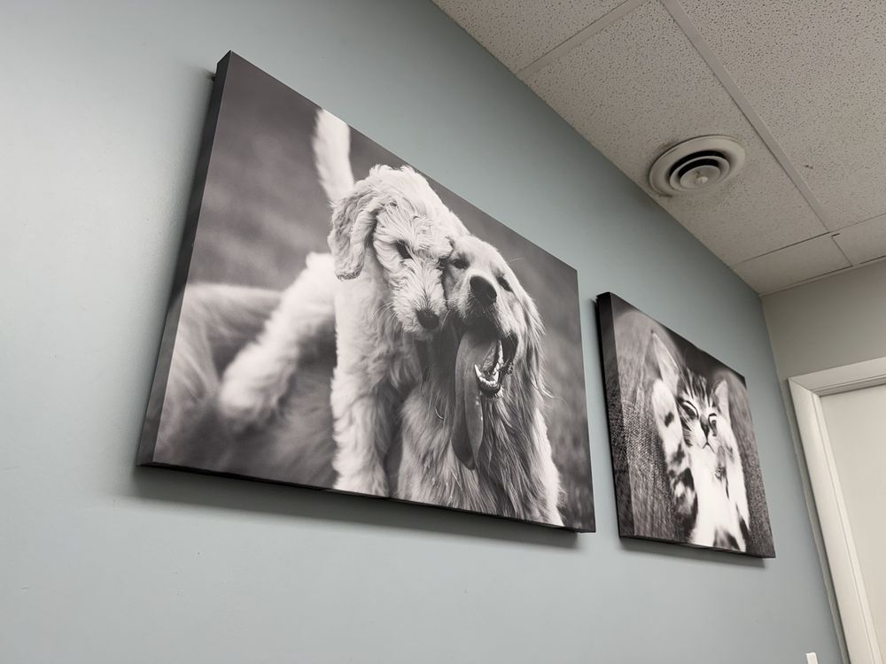 Doerr Animal Clinic - pet boarding facility in Louisville, KY
