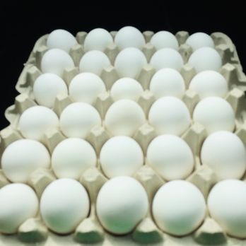 Haslet Feed and Farm Market - Fresh eggs!! - Farmers Market Near Me - Haslet, Texas Haslet Feed and Farm Market - Fresh eggs!! - Farmers Market Near Me - Haslet, Texas