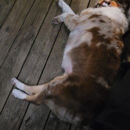 Happy as can be! Happy as can be!