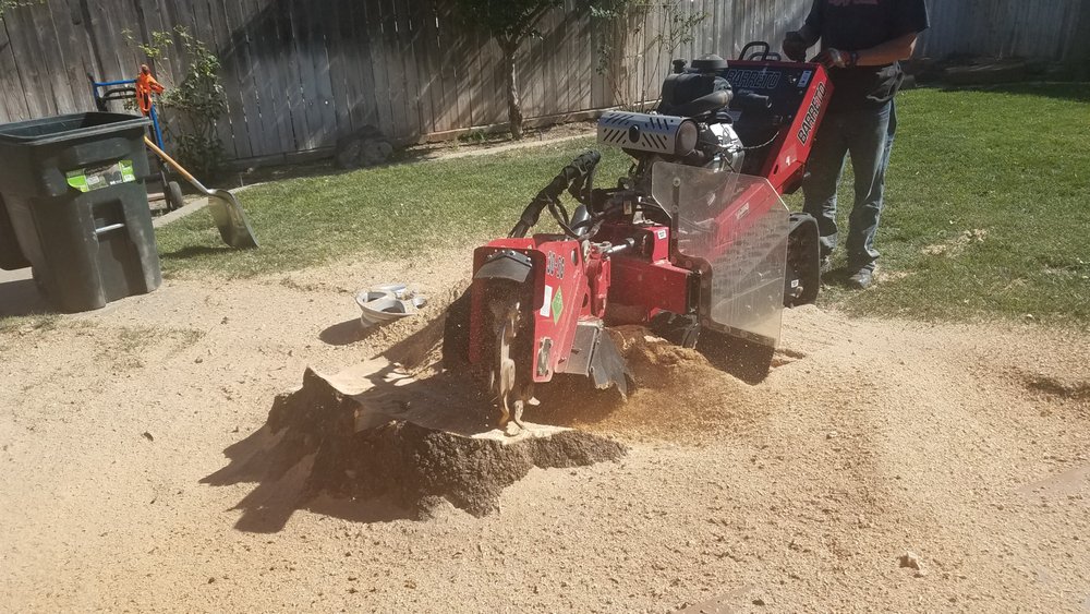 Slide of True Care Services