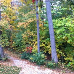 Bryan Hollow Grove