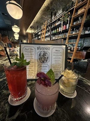 The Botanist by null