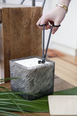 TAJA Collection by null