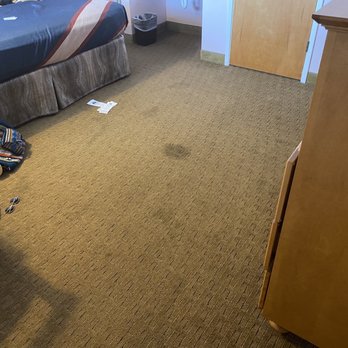 Seabird Lodge - Stained floors. - Hotels Near Me - Fort Bragg, California Seabird Lodge - Stained floors. - Hotels Near Me - Fort Bragg, California