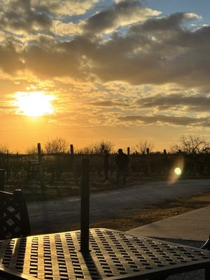 Grace Hill Winery by null