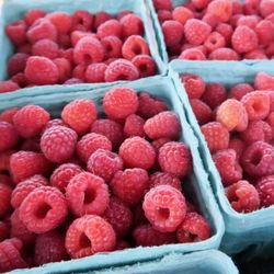 Autumn Hills Orchard - Sweet and tasy raspberries
