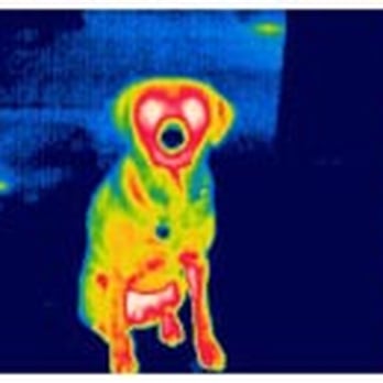 thermografie-team - Home Services Near Me - Hamburg, HH thermografie-team - Home Services Near Me - Hamburg, HH