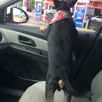 Pet Crazy - Pet Services Near Me - Byram, Mississippi