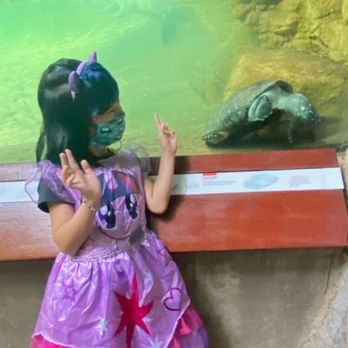 Bronx Zoo - Hi Turtle! - Zoos Near Me - Bronx, New York