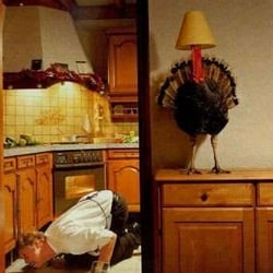 Hillcrest Bakery & Deli - Turkey Dinners available Friday Oct 9 and Saturday Oct 10 for just $14.99 each. BUT if you order before Oct 5.... $11.99! wowzers!