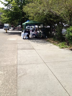Lane County Farmers Market by null