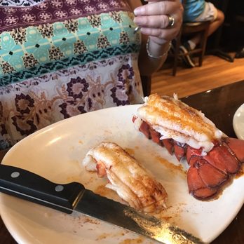 Outback Steakhouse - Dove into lobster tails - Steakhouses Near Me - Clermont, Florida Outback Steakhouse - Dove into lobster tails - Steakhouses Near Me - Clermont, Florida