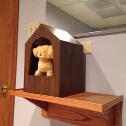 Alexander Maureen M - Cute puppy!