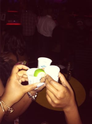 MJQ Concourse by null