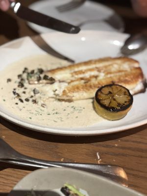 MIKA Coral Gables by null