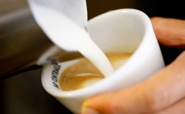 Bar Centrale by null