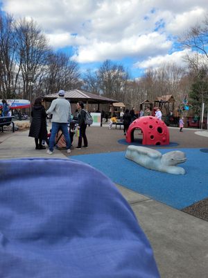 JONATHAN’S DREAM - Updated July 2024 - 10 Photos - 355 Bloomfield Ave