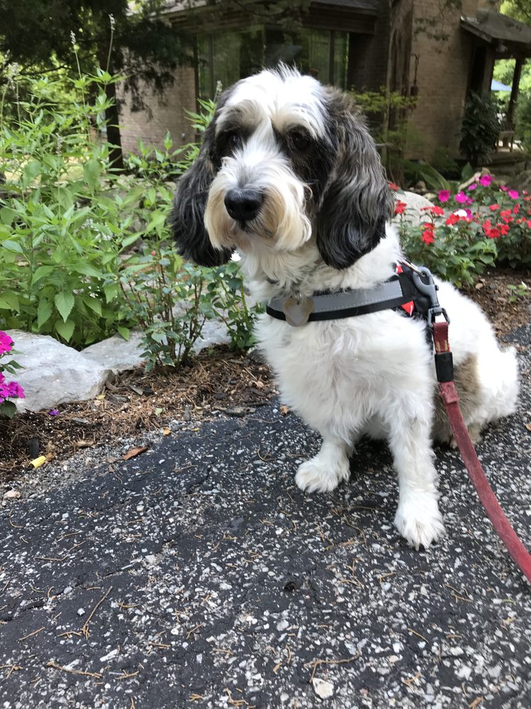 ANIMAL EMERGENCY HOSPITAL OF MANSFIELD 34 Photos & 94 Reviews