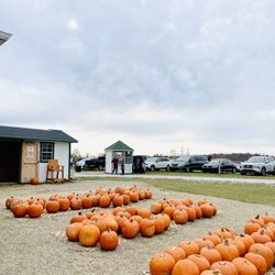 Patterson Fruit Farm