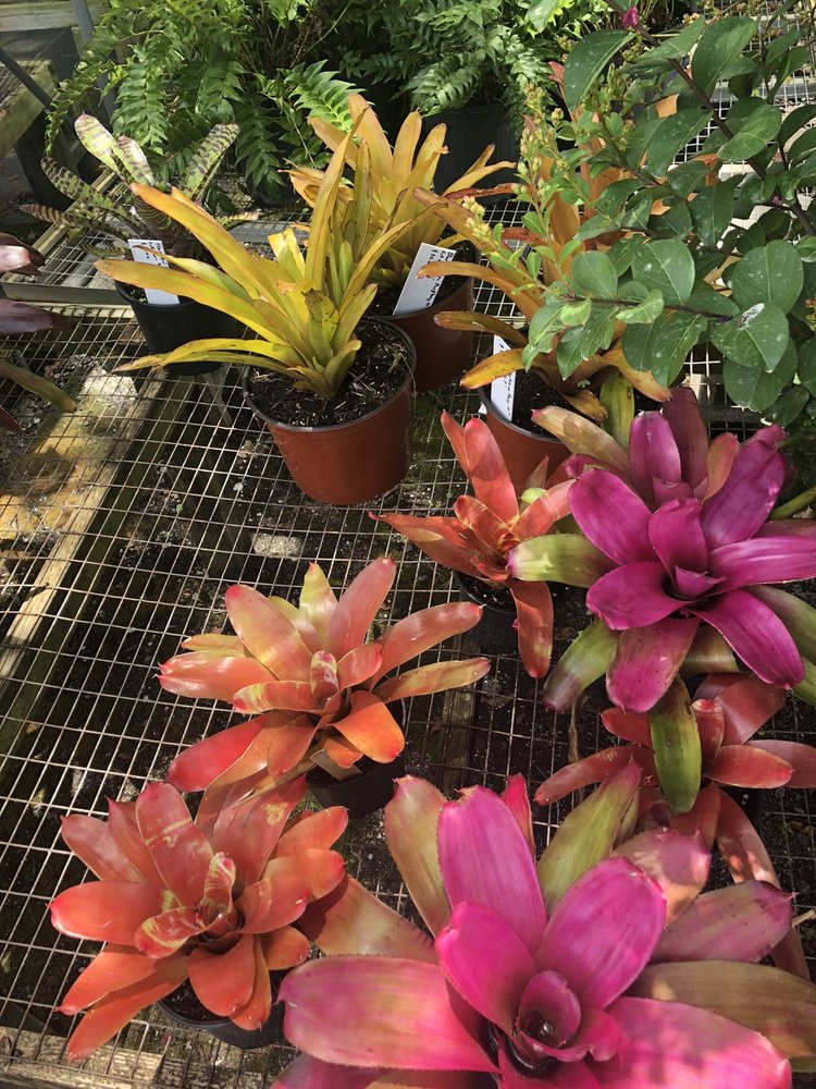 WHOLESALE NURSERY Updated July 2024 13 Photos & 14