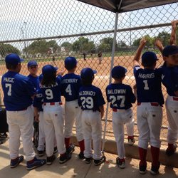 Village Baseball Little League