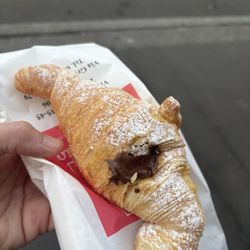 Il Pappagallo