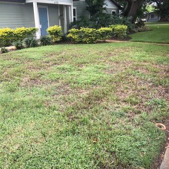 AssureGreen Property Services - Tree Services Near Me - Oldsmar, Florida AssureGreen Property Services - Tree Services Near Me - Oldsmar, Florida