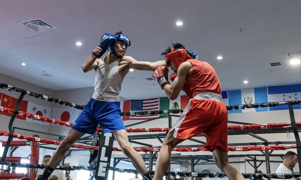 Sweet Science Boxing & MMA by null