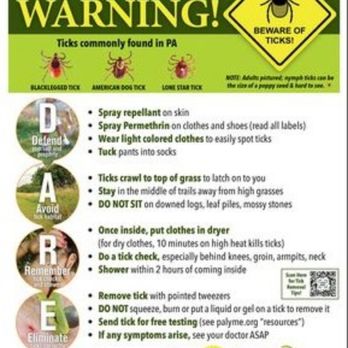 The Bug Guyz - Good information. - Pest Control Near Me The Bug Guyz - Good information. - Pest Control Near Me