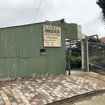 Let's Talk Plants at The TIny Jungle - the sign doesn't match the business name, but this is the right place - Nurseries & Gardening Near Me - Daly City, California Let's Talk Plants at The TIny Jungle - the sign doesn't match the business name, but this is the right place - Nurseries & Gardening Near Me - Daly City, California