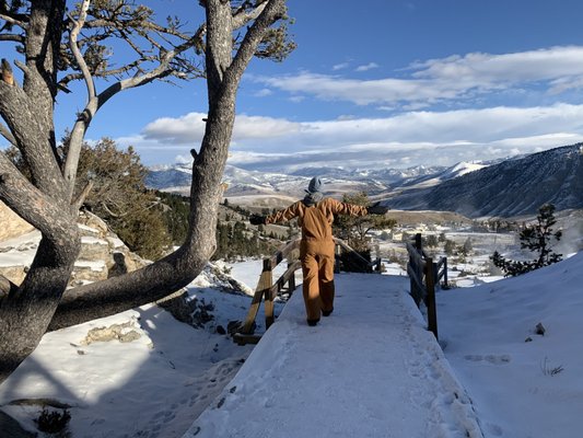 Roosevelt Arch by null