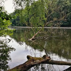 Naturschutzgebiet Hainesch-Iland - Naturbelassene Ufer (06/2018)